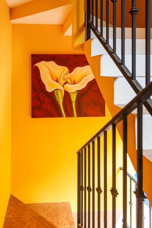 Kaam Accommodations Puerto Morelos Exteriér fotografie